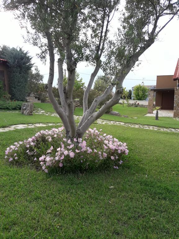 Beautiful Sani Villa Экстерьер фото